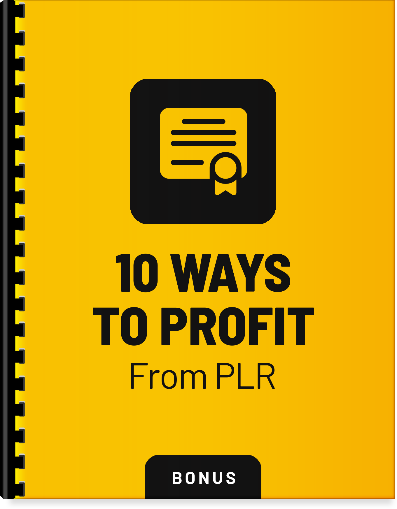 b4-10-ways-to-profit-from-plr